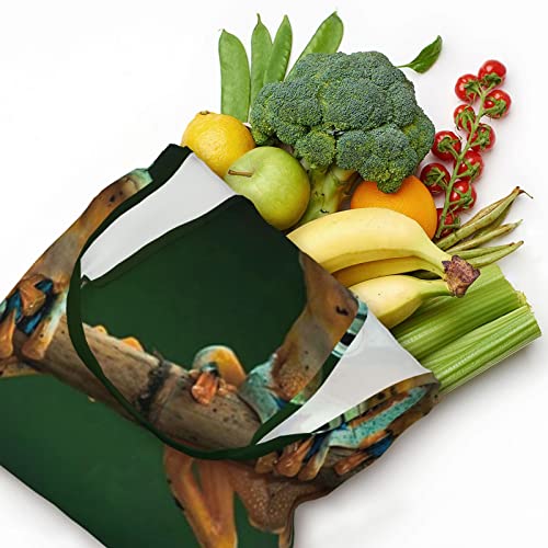 Sac d'épicerie Debou réutilisable en toile pour remplacer les cabas fragiles avec style