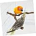 TOYANDONA 2Pcs Parrot Stand Durable Vine Bird Perch for Cockatiels Parakeets and Birds for Home Office and Pet Shops Encourages Exercise and Coordination Skills