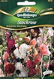 bauernrosen sorten Keimschutzpackung Stockrose, standfest, Alcea rosea, ca. 30 Samen