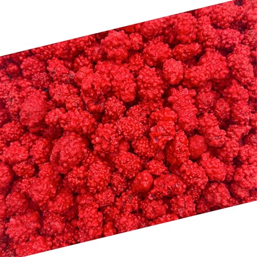 French Burnt Peanuts Candy | 1 Pound Bag | Crunchy Coated Peanuts | Old Fashioned Treat for Snacking and Gifting | Red Candy with Roasted Peanut Center