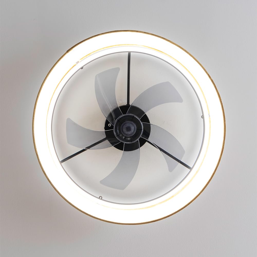 Cecotec Ventilador de Techo 20W EnergySilence LampAero 600 Green Design