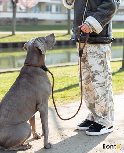 lionto Retrieverleine robust und wetterfest für Hunde Aller Größen, schnell anzulegende Hundeleine und Halsband in Einem, 170 cm, fellschonende Führleine mit integriertem Zugstopp, vegan, braun