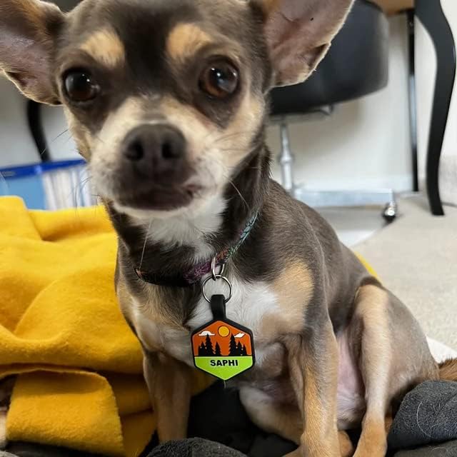 超軽量 ドッグタグ風 住所も入る迷子札・アクリル製（犬・猫用ネームプレート・名札） サイレントドッグタグ カスタム深く刻印された丈夫なサウンドレスシリコンペットIDネームタグ 六角形 マウンテンピンク