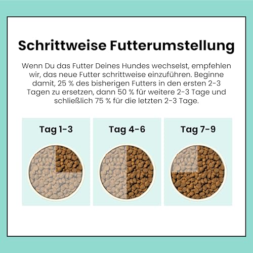 Pooch & Mutt - Gelenkpflege, Getreidefreies Alleintrockenfutter für Hunde, Lachs und Süßkartoffel, 2 kg