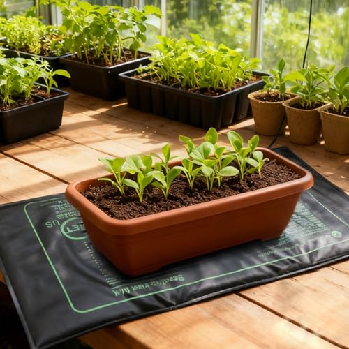 Germination des plantes réussie avec le lot de 2 tapis chauffants