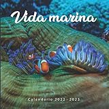 calendario vida estudiantil ucr  Vida marina Calendario: Calendario 2022 2023 - 8.5\'\'x8.5\'\' - Regalos para familiares y amigas amigos