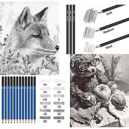 Tensine 146Pcs Art Supplies Drawing Kit, Pencils For Sketching - Include Colored, Graphite, Metallic, Charcoal Pencil, Ideal Gift Beginners & Professional Artists Teens Adults, 145 Piece Set #TOP1