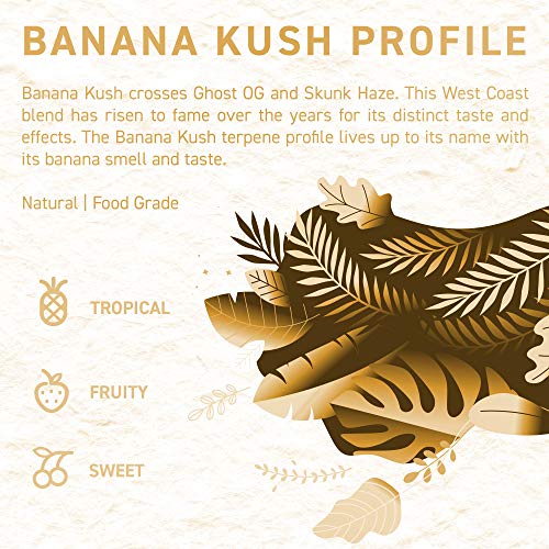 Terpene Profile Banana Kush Organic, 5 ml – Bild 3