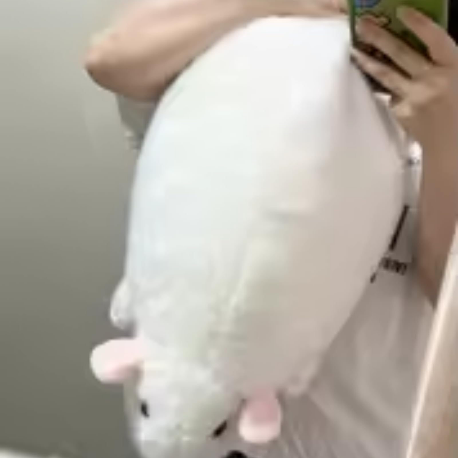 JORCEDI Rat Plush Toy Stuffed Animal 40/50/90 cm, Large Grey Rat Cuddle Cushion, Fluffy Body Pillow Side Sleeper, Funny Room Decor Gift for Teens Adults (50cm,B)