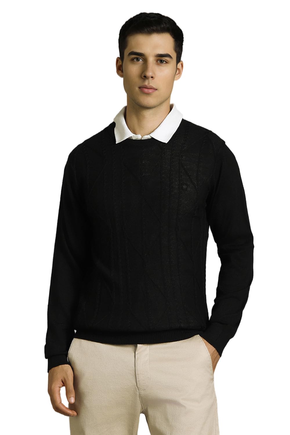 louis philippe Men Sweater-picture-20