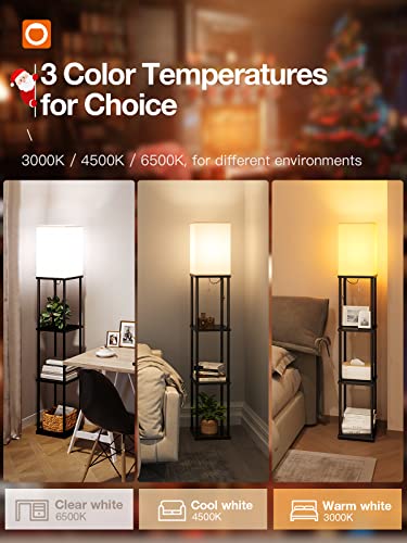 Addlon L-1 Floor Lamp With Shelves thumb #1