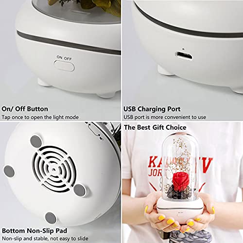 Difusor aromático eléctrico Eternal Rose con luz nocturna USB miniatura 6