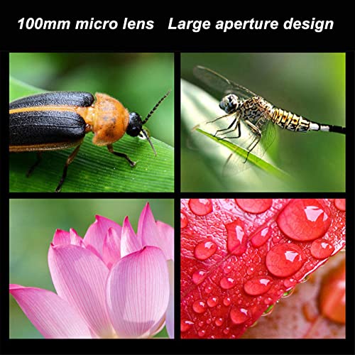 Lente de telefone para câmera, micro lente externa de 100 mm para celular com tampa de lente para fo