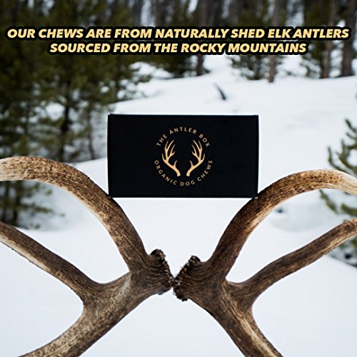 The Antler Box-Premium Elk Antler Dog Chews (1 Lb Bulk Pack) (Whole/Split Mixed, Xl) #TOP5