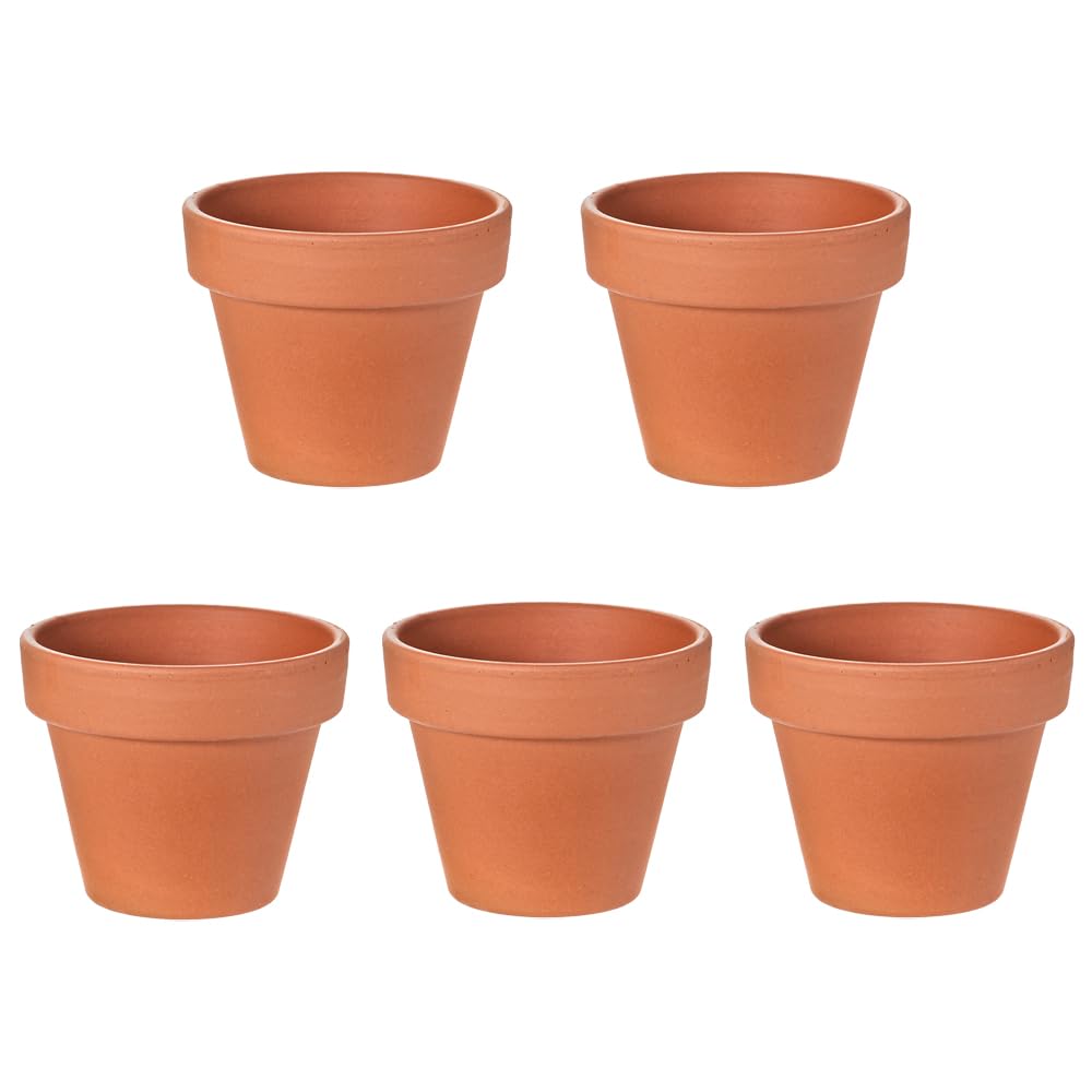 Amazon.co.jp: ドイツ製 テラコッタポット 6cm 穴有り SAA06