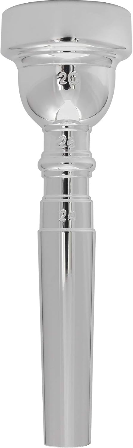 Vincent Bach Trombone Cleaning and Care Product (S6512C6)