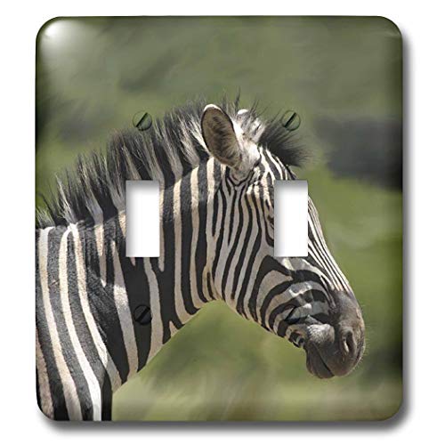 Interruptor doble Zebra 3dRose lsp_1240_2 embellecedor decorativo animal print para dormitorio 2