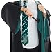 Cinereplicas Harry Potter - Capa - Oficial (Large Adultos, Slytherin)