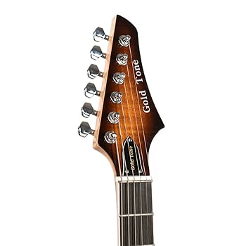 Gold Toneエレキバンジョー ピップ…ではなくGOLD TONEのエレキバンジョーが入荷！ 肩こりに