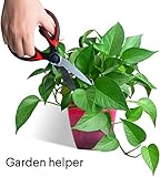 Latest Sharp Kitchen Scissors Heavy Duty Multifunction Purpose Utility Cooking Scissors for Chicken Meat Fish Poultry Vegetables Nuts Household Necessity - Image 6