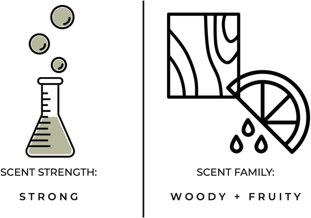 Luxury Reed Diffuser| True Hue | 3.75 fl oz | Glass and Rattan | Lasts for 2-3 Months | Fragrance Diffusers for Home | Handmade in USA (Stargazing)
