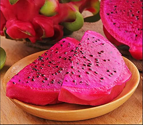 Red Dragon Fruit Seeds Pitaya Hylocereus Undatus Tropical Fruit 50 Seeds #TOP2