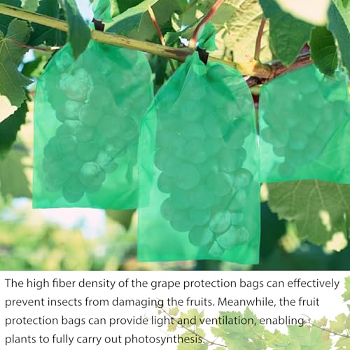 Traubenschutzbeutel,100 Stück Weintrauben Säckchen,20x30cm Weintrauben Schutzbeutel,Trauben Schutzbeutel mit Zugband,Obst Schutzbeutel,für Zum Verhindern Wespen Fruchtfliegen Insekt Vögel