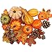 Catelves 50 Stück Thanksgiving Dekoration Set, Künstliche Ahornblätter, Tannenzapfen, Eicheln, Kürbis für Herbst, Halloween Kürbis Deko Thanksgiving Dekoration Set 50 Set günstig Kaufen-Catelves 50 Stück Thanksgiving Dekoration Set, Künstliche Ahornblätter, Tannenzapfen, Eicheln, Kürbis für Herbst, Halloween Kürbis Deko Thanksgiving Dekoration Set