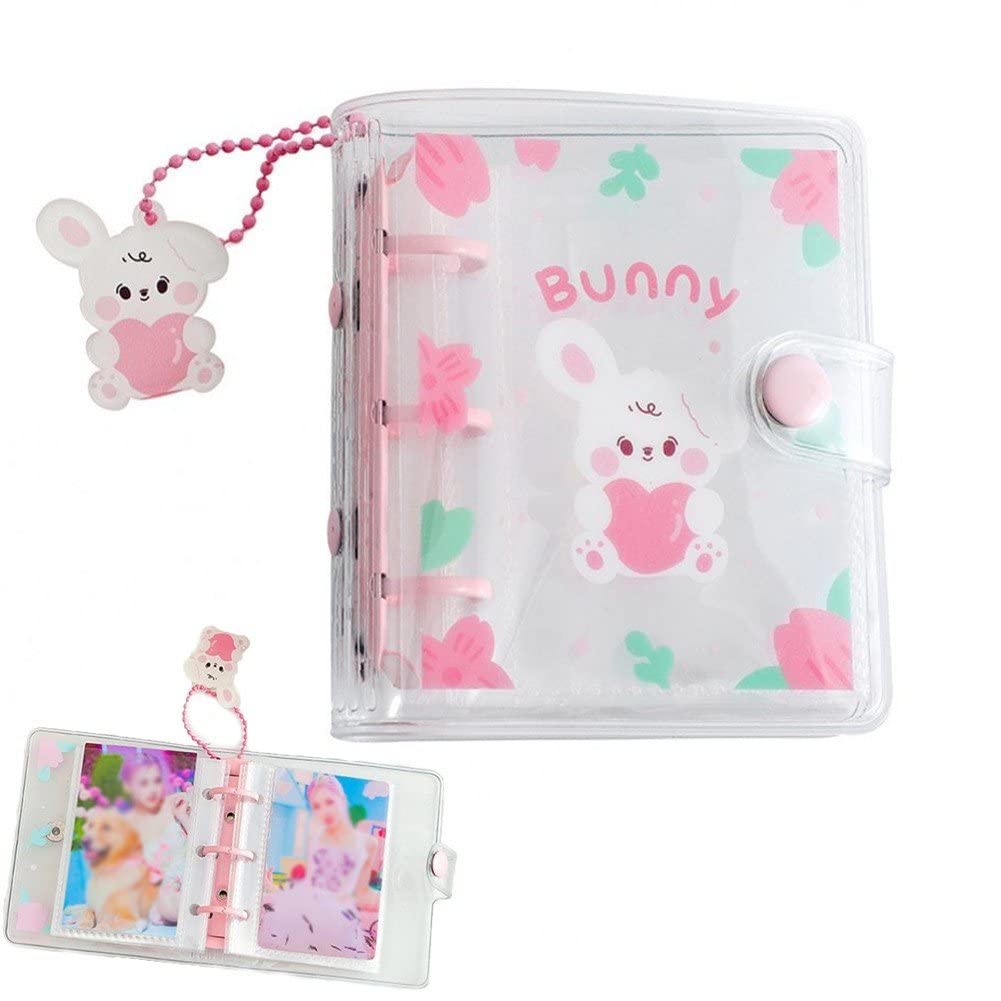 Danlai Mini Photo Album Transparent Photocard Binder Album Storage with 10 Pockets and Snap Button for Diy Photo Album Scrapbooking