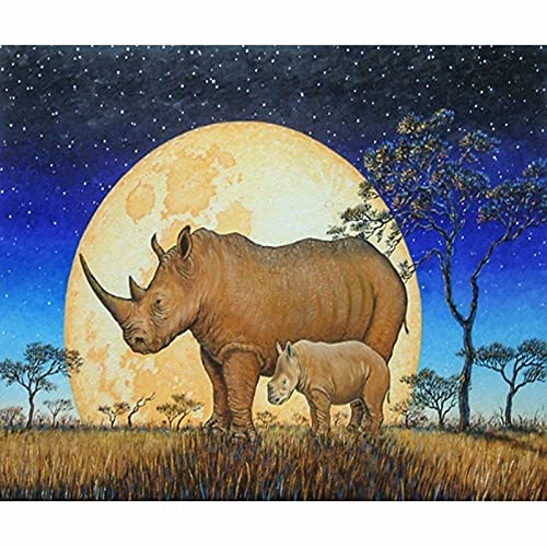 Kit broderie diamant lune grand format 50x100cm pour décoration murale