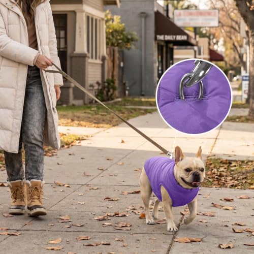 Image of JoyDaog Fleece Lined Dog Jacket for Small Dogs,Winter Dog Coat,Purple S | Warm Windproof Puppy Vest for Cold Weather,Soft Cozy Doggie Clothes for Smaller Dog Breeds,Outdoor Daily Walk,Snow Play