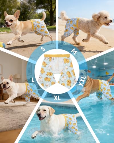 Image of CuteBone Dog Swim Trunks Swimsuit Durable & Comfortable - Quick-Dry, Adjustable Waistband Shorts, UV Protection Bikini- Perfect for Beach, Pool & Outdoor Fun, Dinos DST09S
