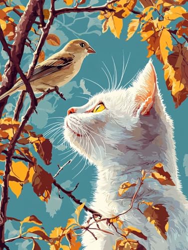 LyCgoCio[|p  GH|Lbgio[yCgLbgqƑl S DIYLoXA[g|ph uVƃANG̋ ƒ̕Ǒ t[Ȃ40x50cm -2181