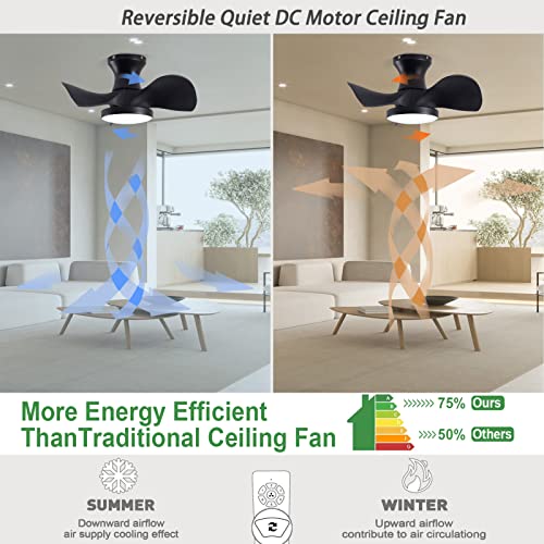 Uoj 22" Ceiling Fan With Lights And Remote, Small Quiet Black Ceiling Fan For Bathroom,Aisle,Kitchen Patio (Black) #TOP4