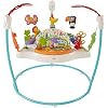 Fisher-Price Animal Activity Jumperoo, Blue, One Size