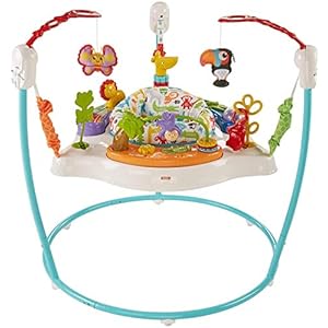 Fisher-Price Animal Activity Jumperoo, Blue, One Size, 1 Count (Pack of 1)