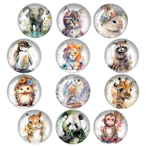 Jisrcha Lot de 12 Aimant Frigo Decoratif, Ciel Étoilé et d'animaux Magnet Frigo, Magnet Frigo Enfant Ronds pour Tableau Magnétique, Réfrigérateur, Tableau Blanc, Cuisine, Bureau (C)