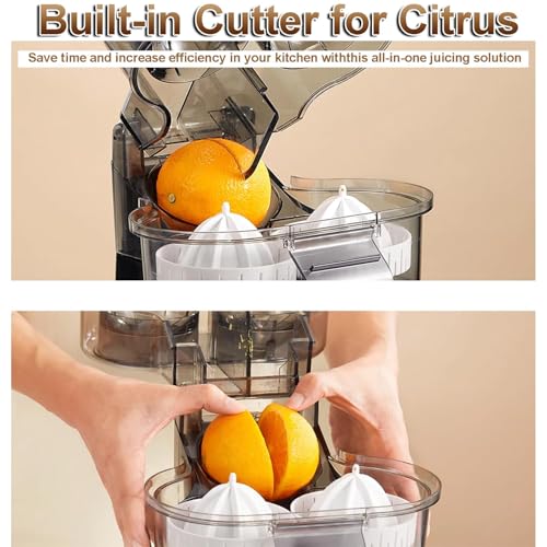 Extracteur de fruits à l'échaud double, 100W d'extraction de fruits électriques de 500 ml, moteur 18000 tr/min, pièces de sécurité pour lave-vaisselle pour la fabrication de jus de citron orange frais
