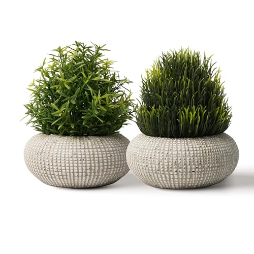 PENGYEE 2 Pack Small Fake Plants in Cement Planter for