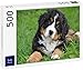 Lais Puzzle Perro de montaña bernés 500 Piezas