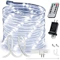 WYZworks 10ft Cool White LED Outside Rope Light - 8 Modes, Waterproof Permanent Outdoor Accent Lighting w/Remote, Flexible Clear Tube, ETL Certified, Exterior Christmas Patio Palm Tree Yard Ambient