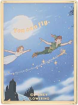 ディズニー ミラー 鏡 ポスター 51dw2XrusaL._AC_UF350,