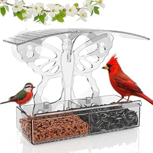 Transparent Acrylic Window Bird Feeder for Outdoors with Strong Suction Cup, Indoor, Outdoor and Window Decor, Detachable Tray, Easy to Clean, Can Watch Wild Birds.