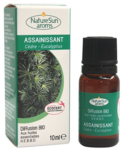 Naturesun aroms - Diffusion Anti-Tabac - Assainissant Bio - 10 ml