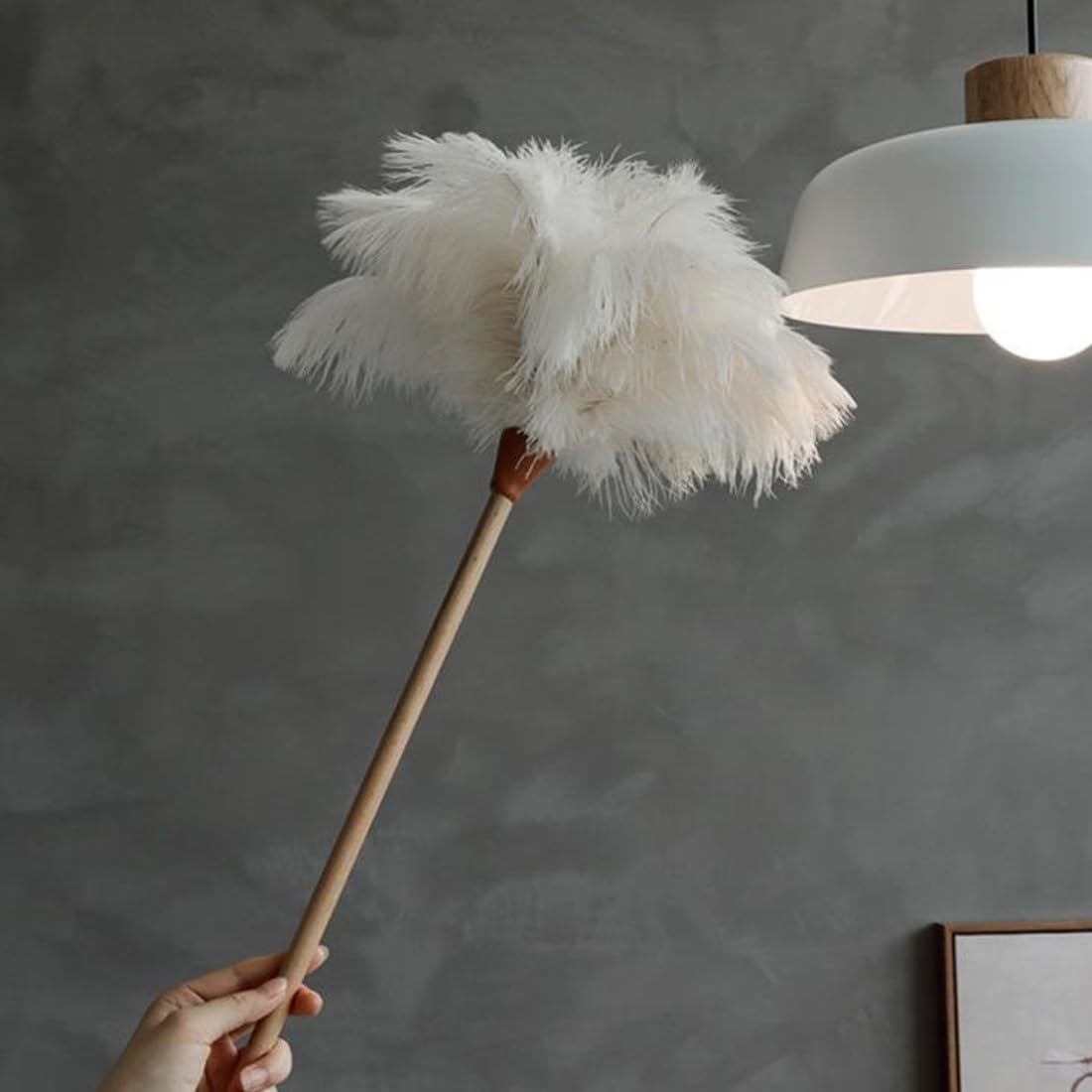 Plumeau, Plumeau en Plumes d'autruche avec Manche Bois, Douces for Le Nettoyage de la Maison, Voiture et du Bureau(Black)