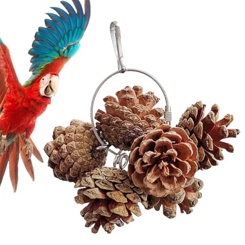 VR̃IE`[̂Aޒ̏ڂibĉ - ̃P߂̑ϋv̂邽߂̑ϋv̂[WANZT[ApL[gARJ`GAĂ~߁Auo[h