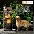 KAISOKU 38.2" Tall Outdoor Water Fountain,Stone Texture Modern 4 Tiers Cascading Bowls Garden Fountains Outdoor,Suit for Patio, Deck, Porch, Lawns, Backyard and Home Art Decor