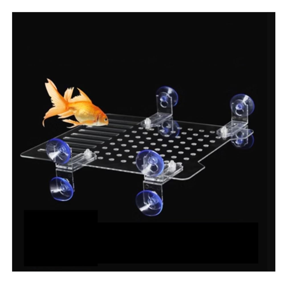 IBOWZ Akwarium Fish Tank Przegroda Płyta Izolacyjna Przegroda Akwarium Płyta Izolacyjna Fish Tank Panel Separator Przezroczysty Akryl Do Hodowli Mieszanej