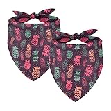 Blue Pink Coral Tropical Fruit Pattern Dog Bandanas Adjustable Fit Offered Accessories Decoration fo