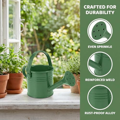 Image of DOITOOL Kids Metal Watering Can, 2pack Small Iron Watering Can for Gardening Succulents Bonsai Houseplants, Mini Water Pot for Children Sprinkling Bucket (Mixed Style: Dark Green and Light Green)